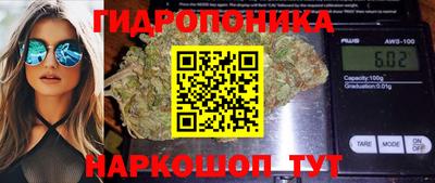стаф Тверь