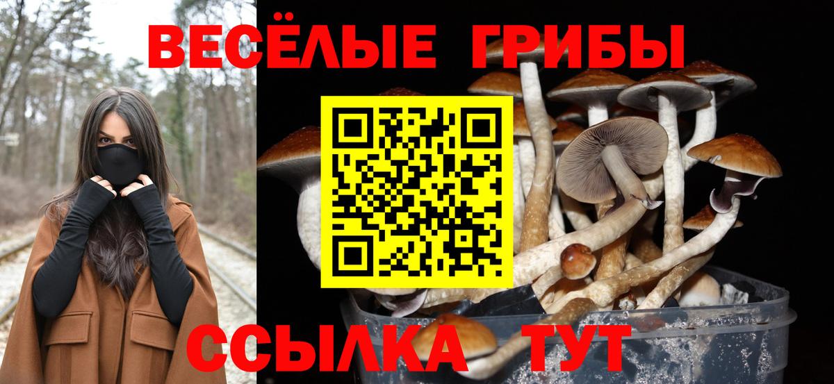 Псилоцибиновые грибы Magic Shrooms Полысаево