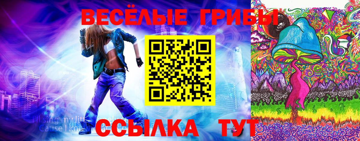 Полысаево  Галлюциногенные грибы мухоморы  Вход с VPN 